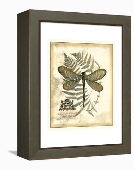 Regal Dragonfly II-Vision Studio-Framed Stretched Canvas