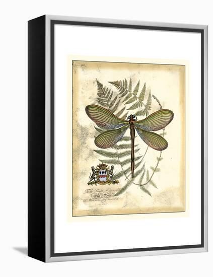 Regal Dragonfly II-Vision Studio-Framed Stretched Canvas