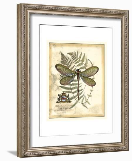Regal Dragonfly II-Vision Studio-Framed Art Print