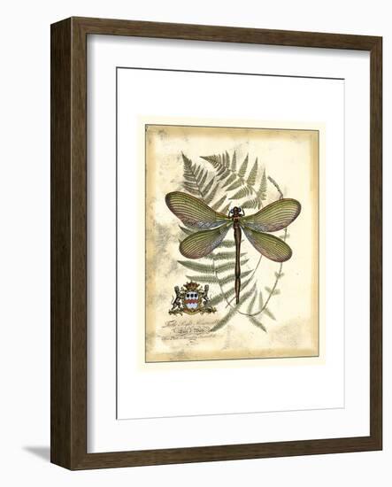 Regal Dragonfly II-Vision Studio-Framed Art Print