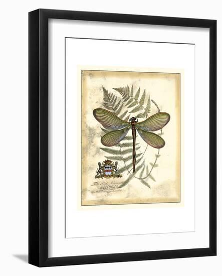 Regal Dragonfly II-Vision Studio-Framed Art Print