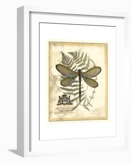 Regal Dragonfly II-Vision Studio-Framed Art Print