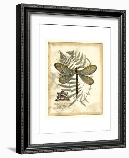 Regal Dragonfly II-Vision Studio-Framed Art Print