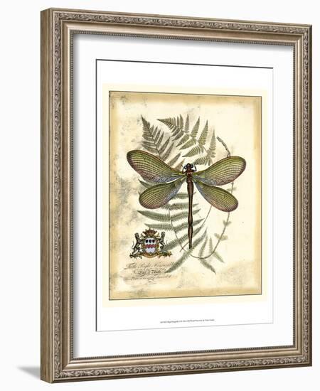 Regal Dragonfly II-Vision Studio-Framed Art Print