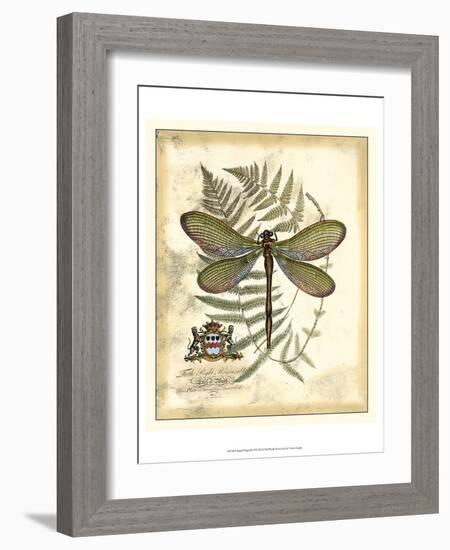 Regal Dragonfly II-Vision Studio-Framed Art Print