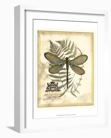 Regal Dragonfly II-Vision Studio-Framed Art Print