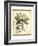 Regal Dragonfly II-Vision Studio-Framed Art Print