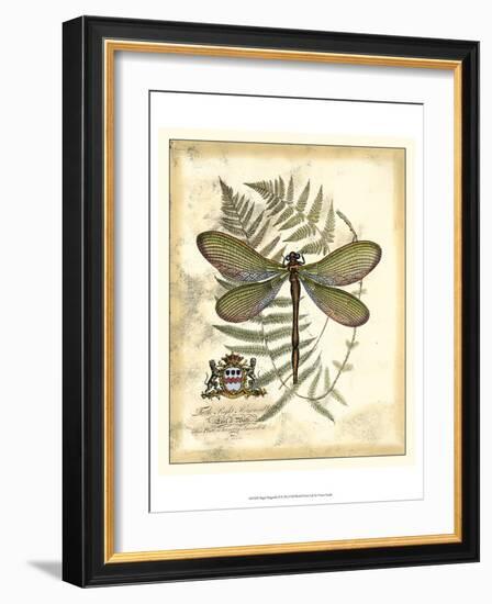 Regal Dragonfly II-Vision Studio-Framed Art Print