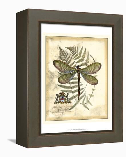 Regal Dragonfly II-Vision Studio-Framed Stretched Canvas