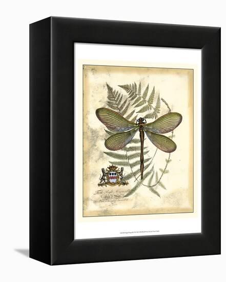 Regal Dragonfly II-Vision Studio-Framed Stretched Canvas