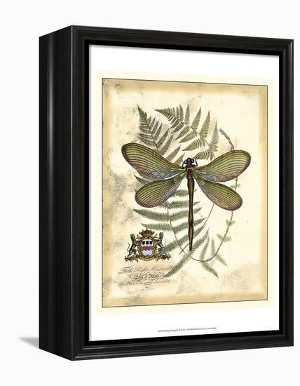 Regal Dragonfly II-Vision Studio-Framed Stretched Canvas