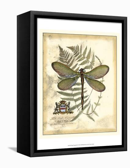 Regal Dragonfly II-Vision Studio-Framed Stretched Canvas