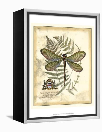 Regal Dragonfly II-Vision Studio-Framed Stretched Canvas