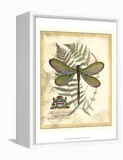 Regal Dragonfly II-Vision Studio-Framed Stretched Canvas