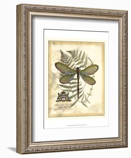 Regal Dragonfly II-Vision Studio-Framed Art Print