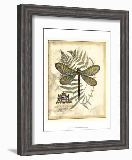 Regal Dragonfly II-Vision Studio-Framed Art Print