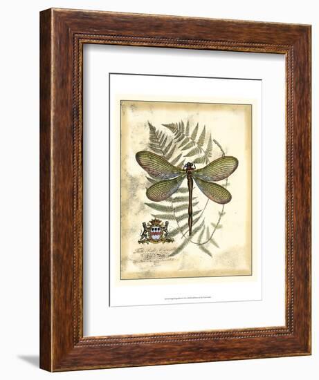 Regal Dragonfly II-Vision Studio-Framed Art Print