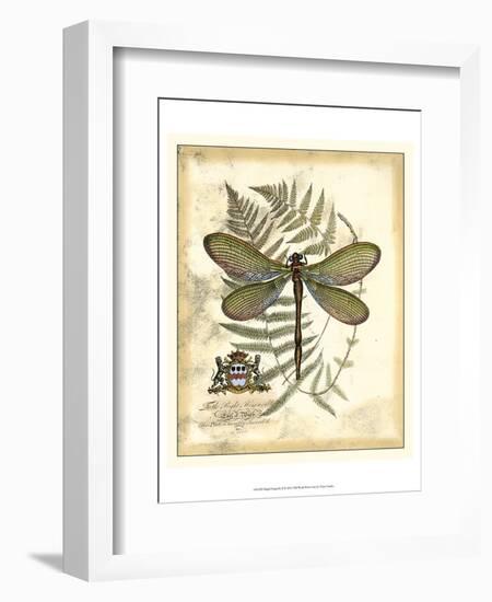 Regal Dragonfly II-Vision Studio-Framed Art Print