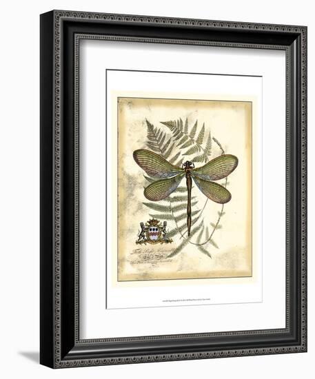 Regal Dragonfly II-Vision Studio-Framed Art Print