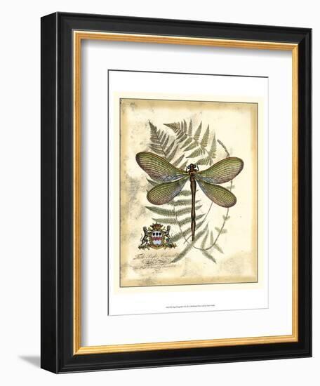 Regal Dragonfly II-Vision Studio-Framed Art Print