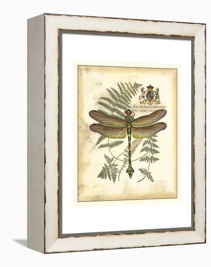 Regal Dragonfly III-Vision Studio-Framed Stretched Canvas