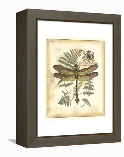 Regal Dragonfly III-Vision Studio-Framed Stretched Canvas