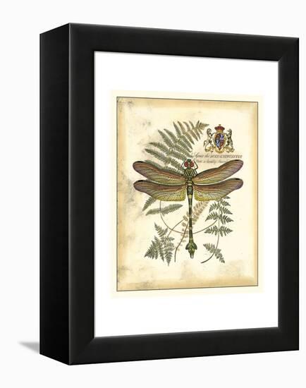 Regal Dragonfly III-Vision Studio-Framed Stretched Canvas