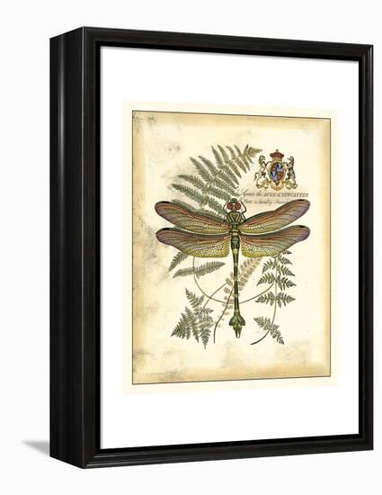 Regal Dragonfly III-Vision Studio-Framed Stretched Canvas