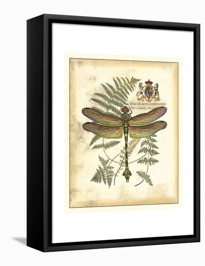 Regal Dragonfly III-Vision Studio-Framed Stretched Canvas