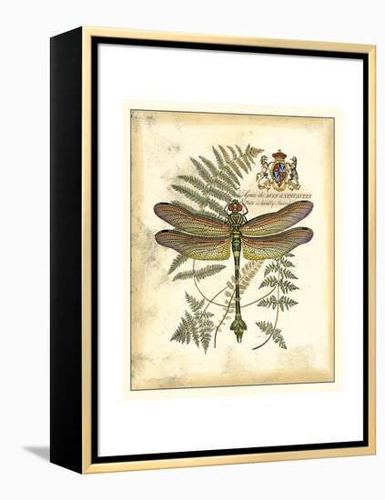 Regal Dragonfly III-Vision Studio-Framed Stretched Canvas