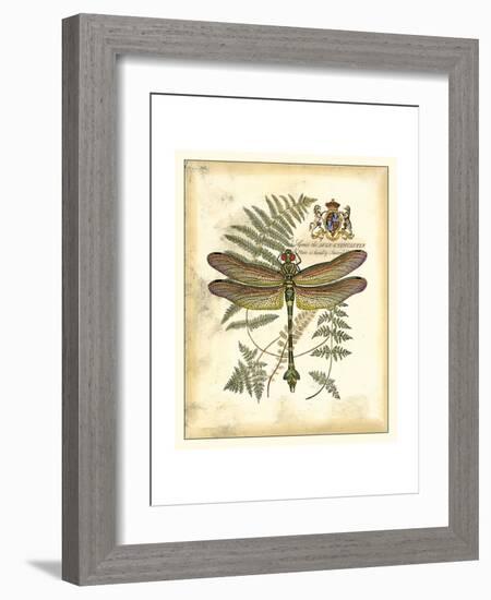 Regal Dragonfly III-Vision Studio-Framed Premium Giclee Print