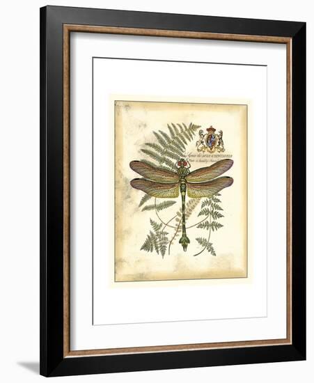 Regal Dragonfly III-Vision Studio-Framed Premium Giclee Print