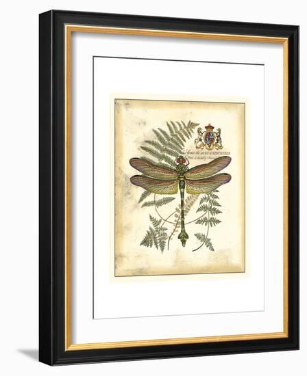 Regal Dragonfly III-Vision Studio-Framed Premium Giclee Print