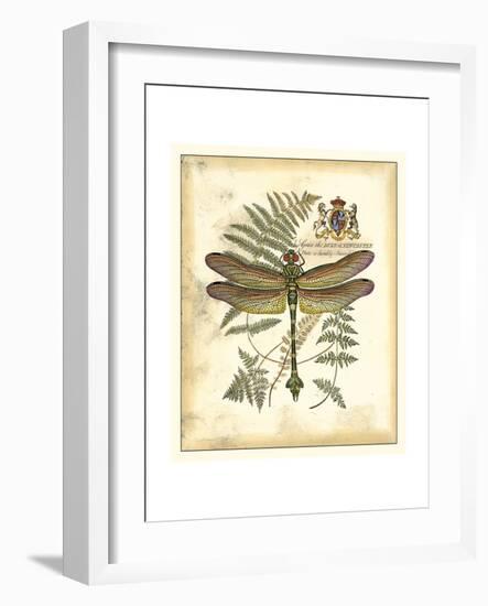 Regal Dragonfly III-Vision Studio-Framed Art Print