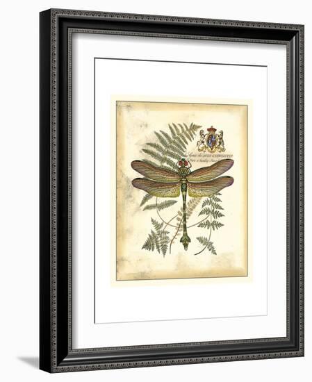 Regal Dragonfly III-Vision Studio-Framed Art Print