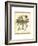 Regal Dragonfly III-Vision Studio-Framed Art Print