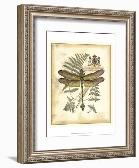 Regal Dragonfly III-Vision Studio-Framed Art Print