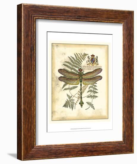 Regal Dragonfly III-Vision Studio-Framed Art Print