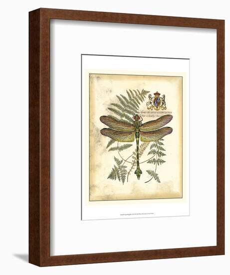 Regal Dragonfly III-Vision Studio-Framed Art Print