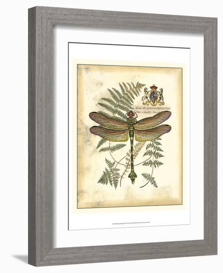 Regal Dragonfly III-Vision Studio-Framed Art Print
