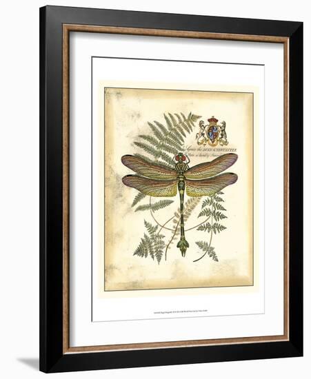 Regal Dragonfly III-Vision Studio-Framed Art Print