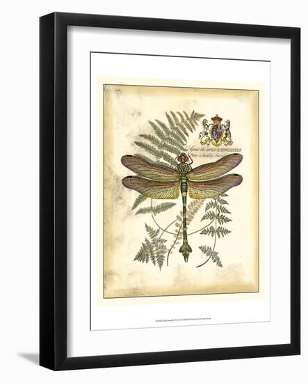 Regal Dragonfly III-Vision Studio-Framed Art Print