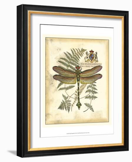 Regal Dragonfly III-Vision Studio-Framed Art Print