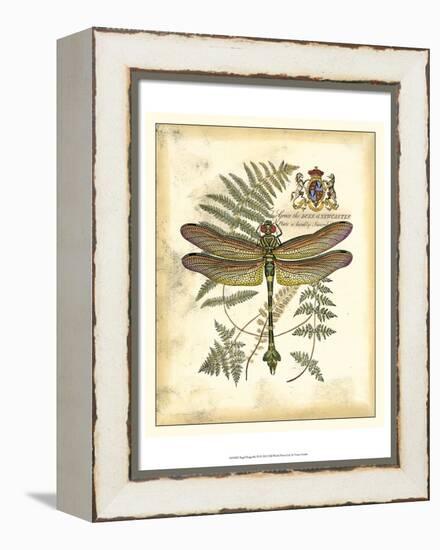 Regal Dragonfly III-Vision Studio-Framed Stretched Canvas