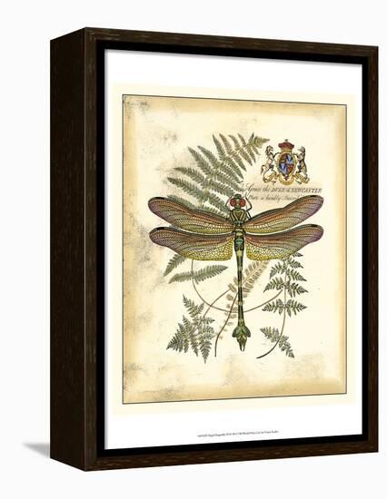 Regal Dragonfly III-Vision Studio-Framed Stretched Canvas