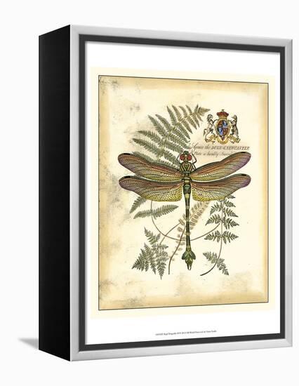 Regal Dragonfly III-Vision Studio-Framed Stretched Canvas