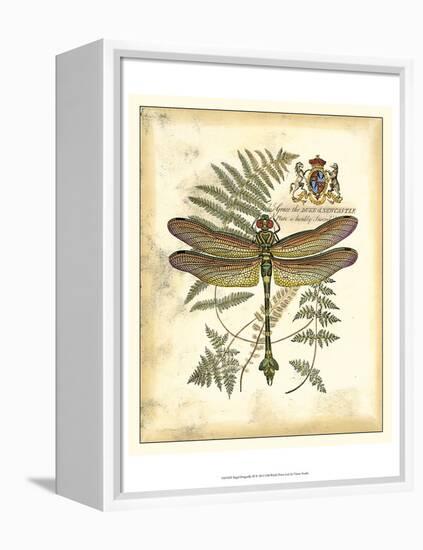 Regal Dragonfly III-Vision Studio-Framed Stretched Canvas