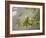 Regal Maple Leaves-Nicole Katano-Framed Photo