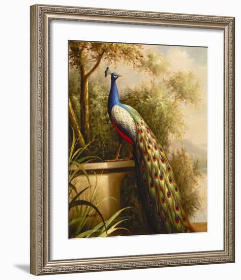 Regal Peacock-null-Framed Art Print