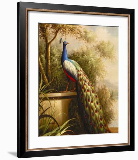 Regal Peacock-null-Framed Art Print